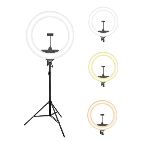 Selfie Ring 14 inch med Stativ