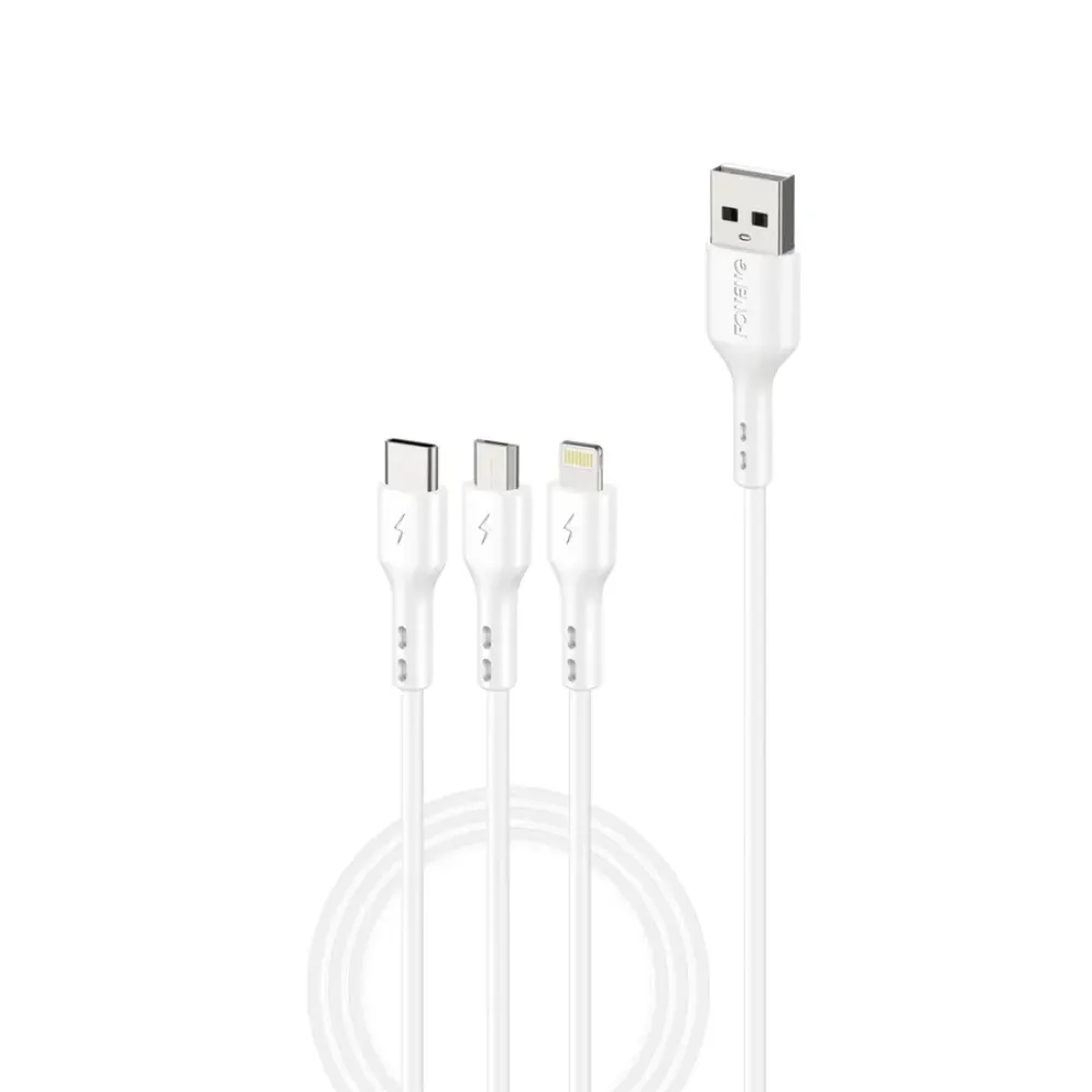 3 in 1 Fast data cable